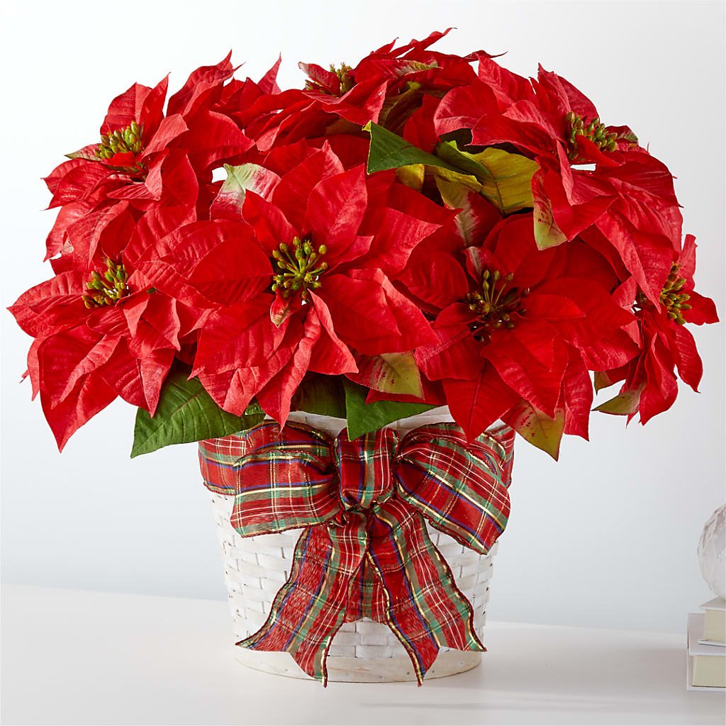 Happiest Holidays Poinsettia – Jy Floristeria, Trenton NJ