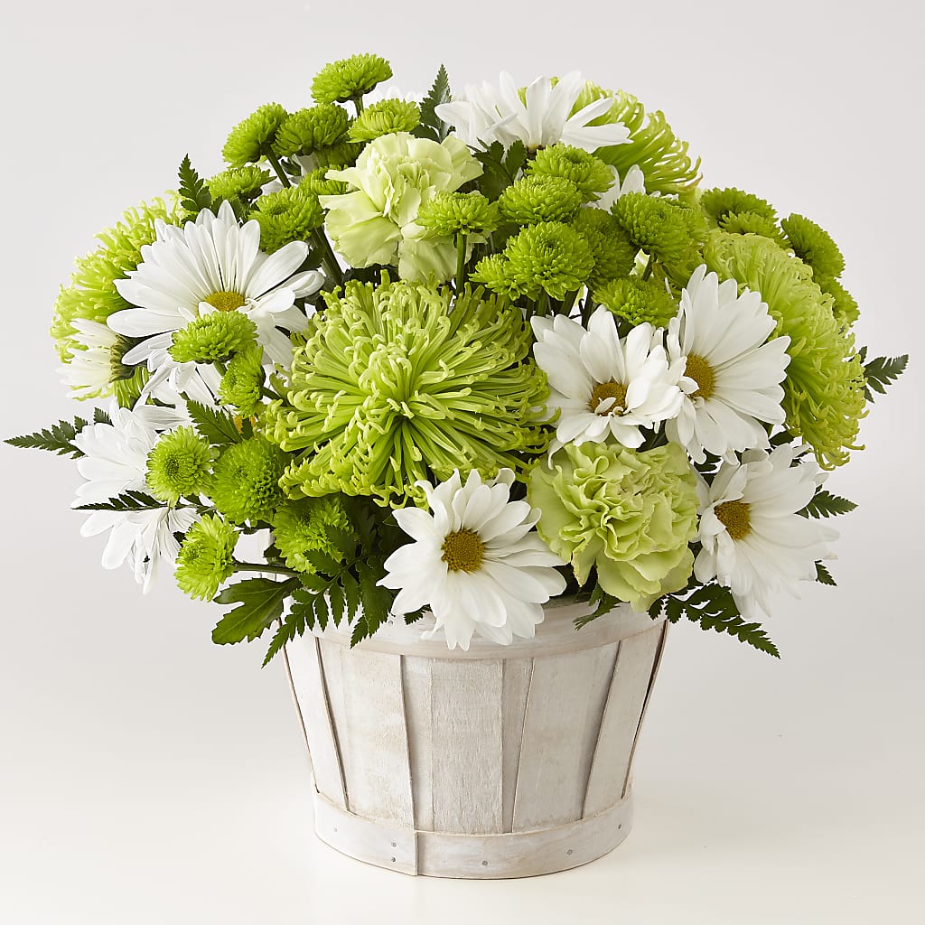 Lucky Charm Basket (Standard) – Jy Floristeria, Trenton NJ