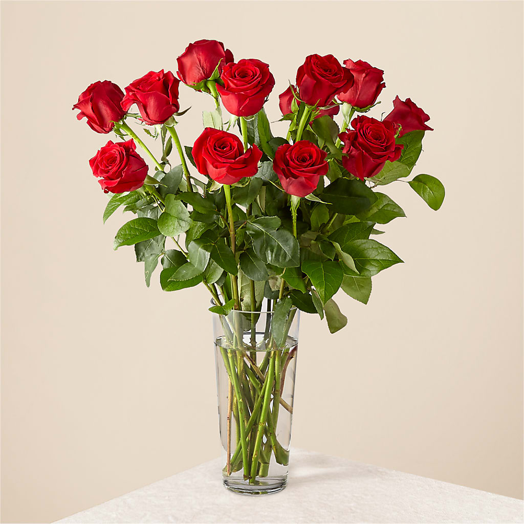 Long Stem Red Rose Bouquet – Jy Floristeria, Trenton NJ