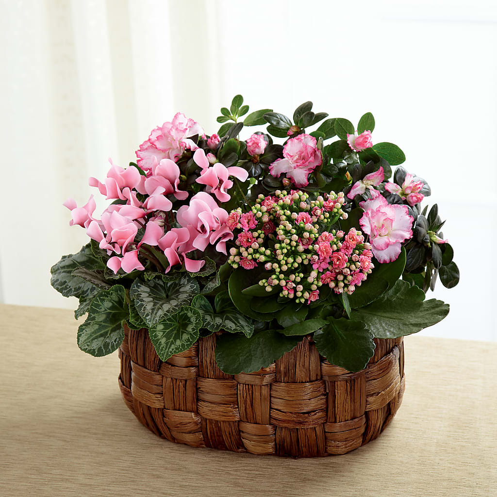 Pink Assortment – Jy Floristeria, Trenton NJ