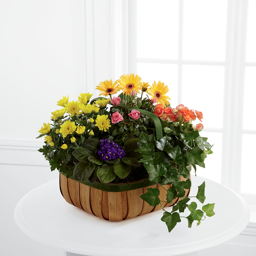 Gentle Blossoms Basket – Jy Floristeria, Trenton NJ