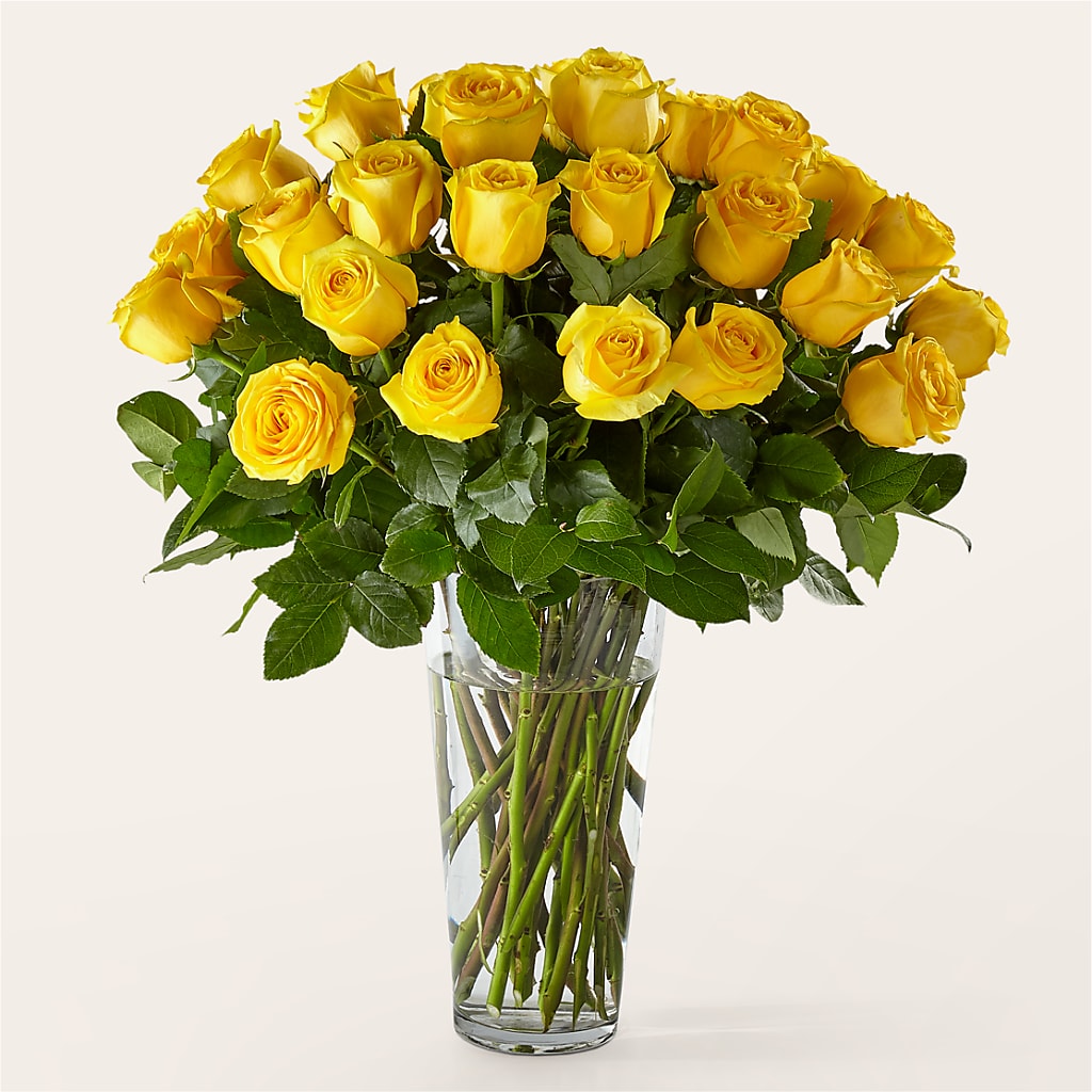 Long Stem Yellow Rose Bouquet – Jy Floristeria, Trenton NJ