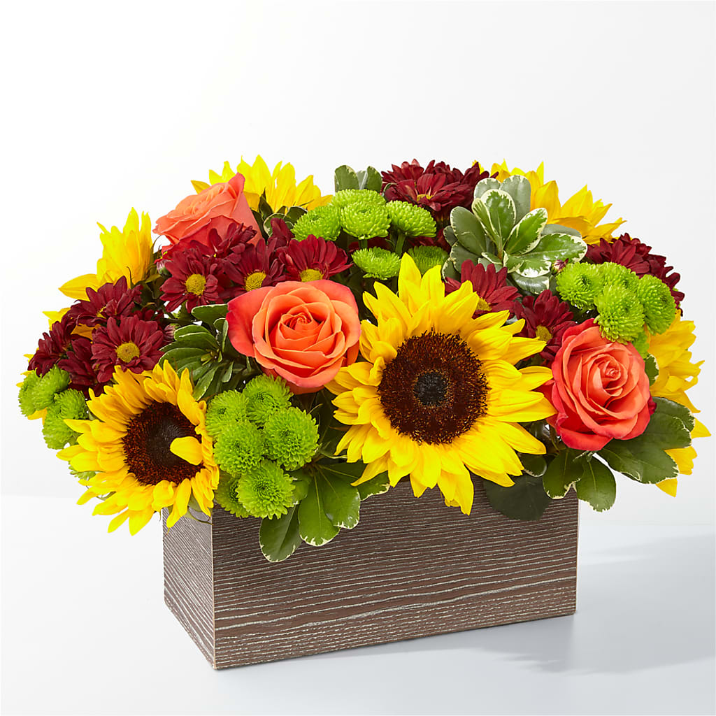 Happy Harvest Garden – Jy Floristeria, Trenton NJ