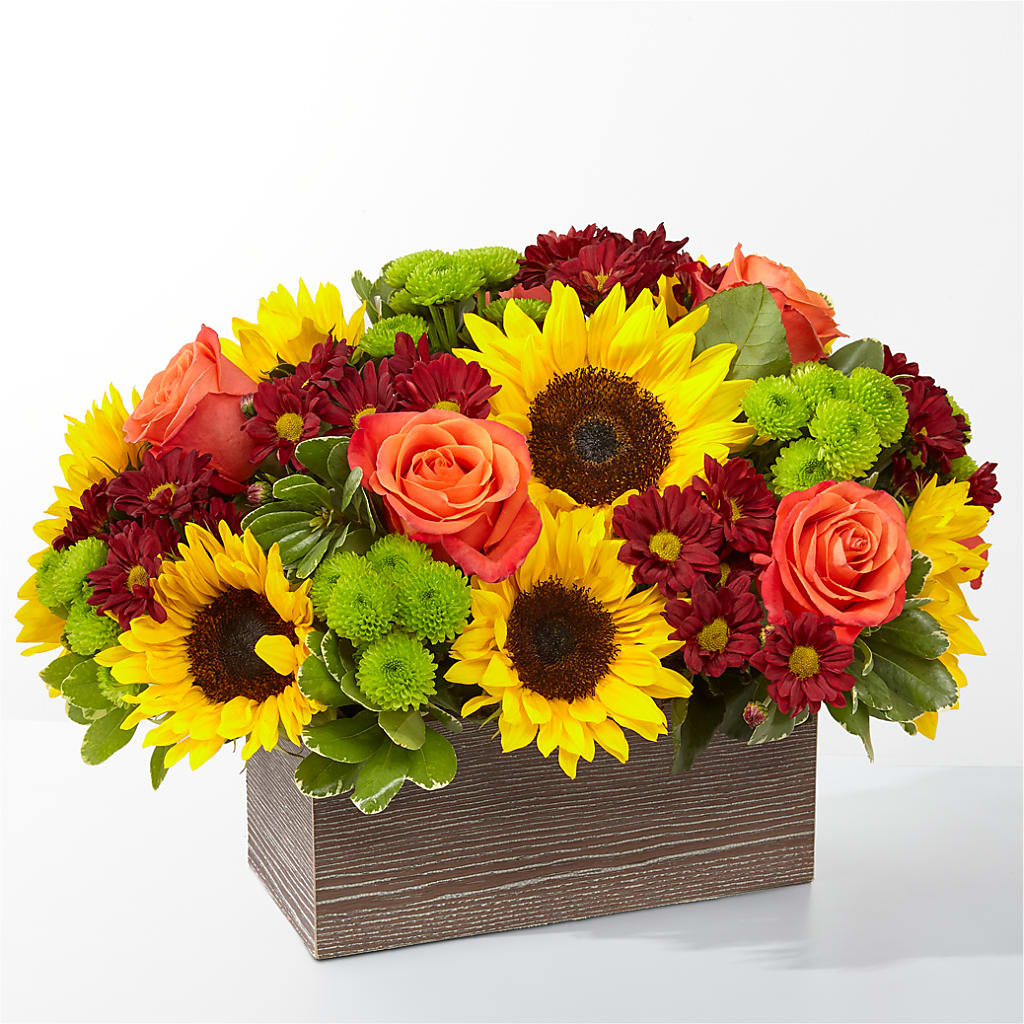 Happy Harvest Garden – Jy Floristeria, Trenton NJ