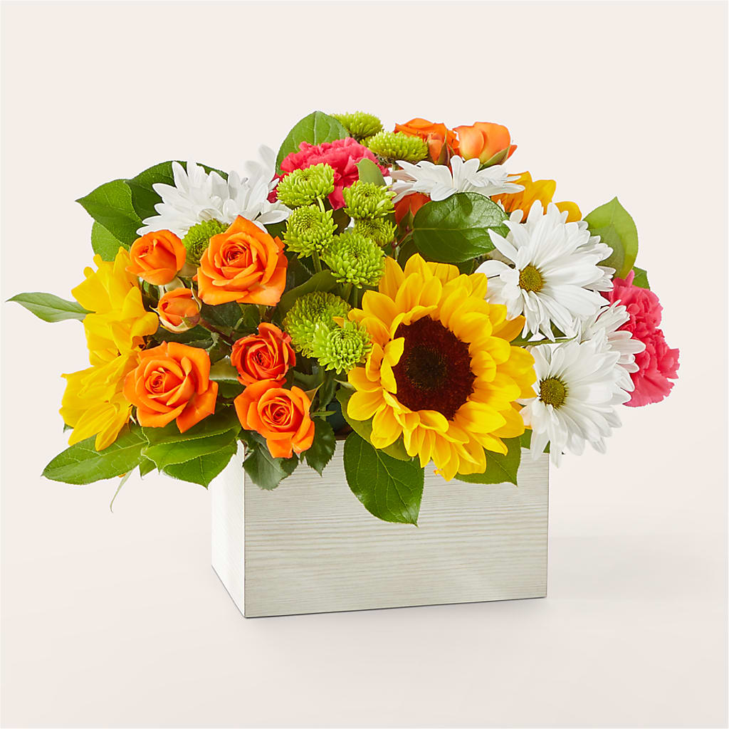 Sun-drenched Blooms Box Bouquet – Jy Floristeria, Trenton NJ