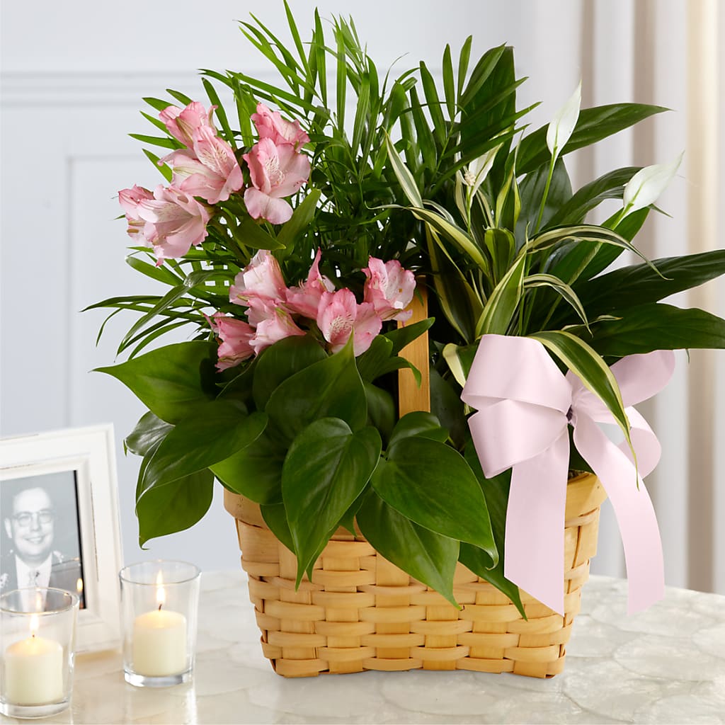 Living Spirit Dishgarden – Jy Floristeria, Trenton NJ