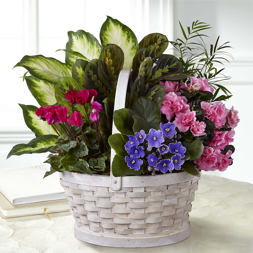 Peaceful Garden Planter – Jy Floristeria, Trenton NJ
