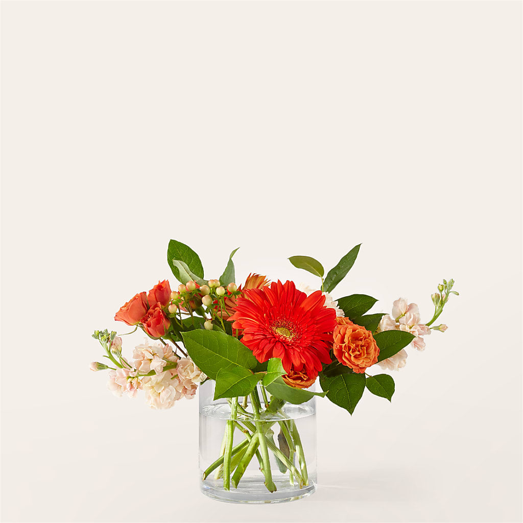 Paloma Please Bouquet – Jy Floristeria, Trenton NJ