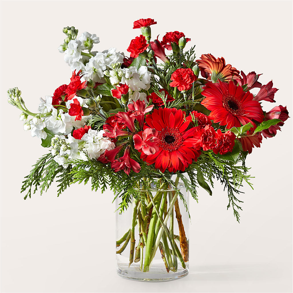 Holidaisy Bouquet – Jy Floristeria, Trenton NJ