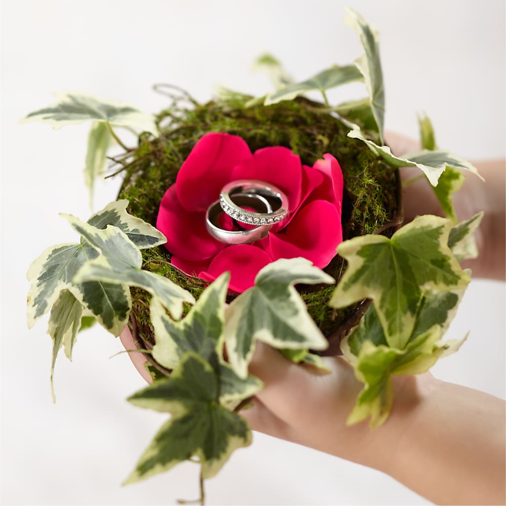 Lila Rose Ring Nest – Jy Floristeria, Trenton NJ
