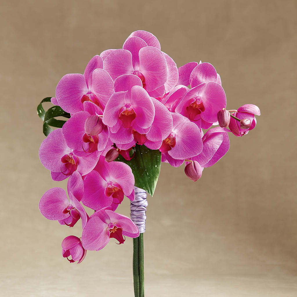 Glorious Bouquet – Jy Floristeria, Trenton NJ