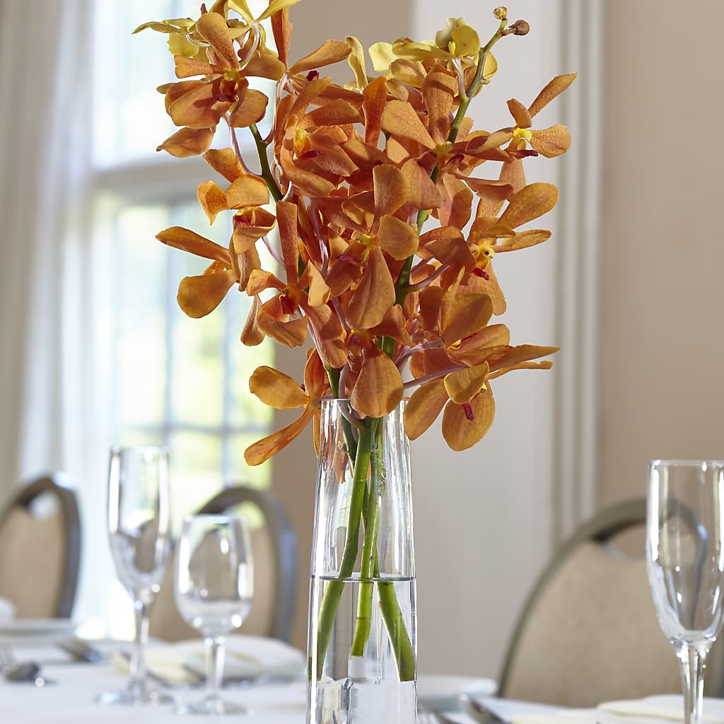 Orange Mokara Bud Vase – Jy Floristeria, Trenton NJ