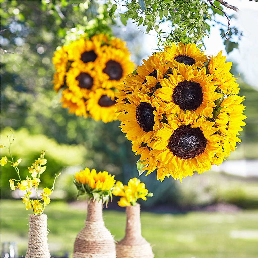 Sublime Garden Hanging Arrangement – Jy Floristeria, Trenton NJ