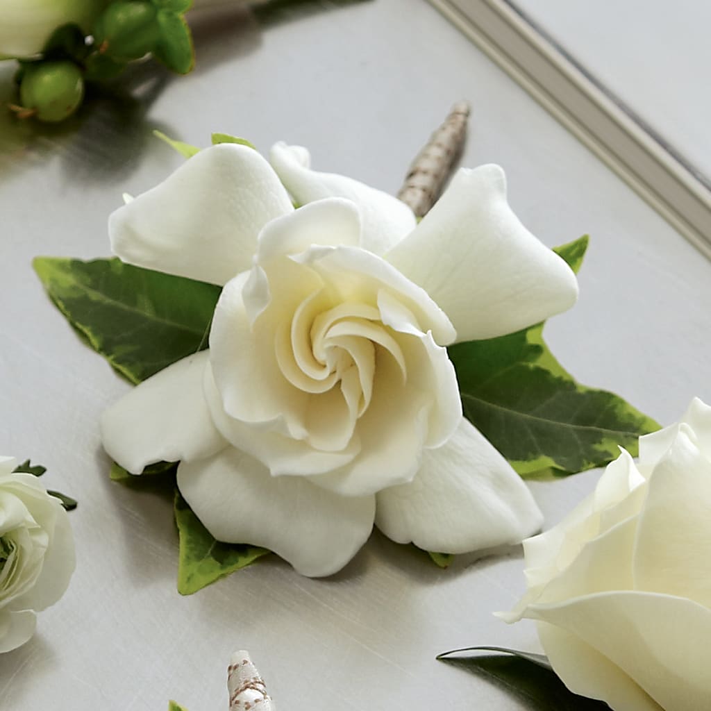 Gardenia Boutonniere – Jy Floristeria, Trenton NJ