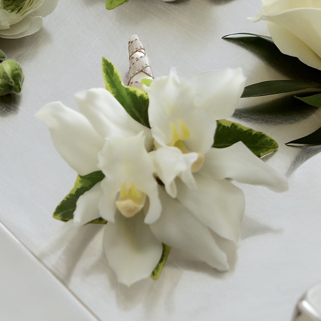 White Mini Cymbidium Boutonniere – Jy Floristeria, Trenton NJ