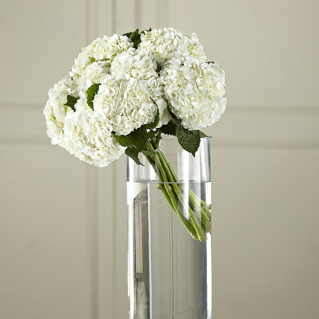 White Hydrangea Hand-Tied Bouquet – Jy Floristeria, Trenton NJ