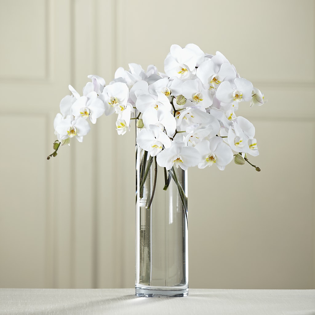 White Phalaenopsis Bouquet – Jy Floristeria, Trenton NJ