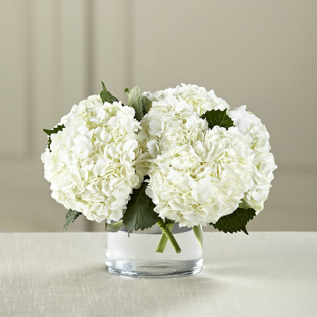 White Hydrangea Bouquet – Jy Floristeria, Trenton NJ