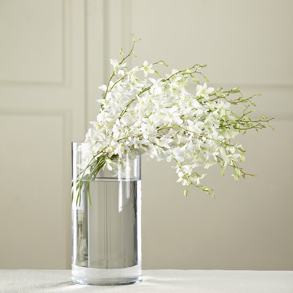 White Dendrobium Bouquet – Jy Floristeria, Trenton NJ