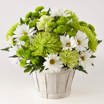 Lucky Charm Basket (Standard) –  Jy Floristeria, Trenton NJ