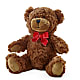Adorable Plush Bear –  Jy Floristeria, Trenton NJ
