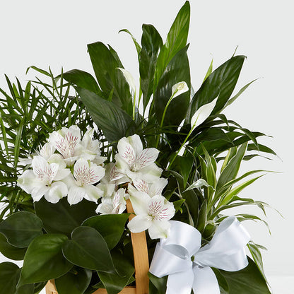 Peace & Serenity Dishgarden –  Jy Floristeria, Trenton NJ