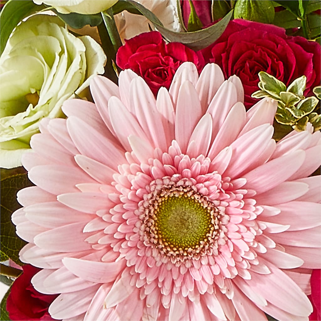 Too Cute Bouquet –  Jy Floristeria, Trenton NJ