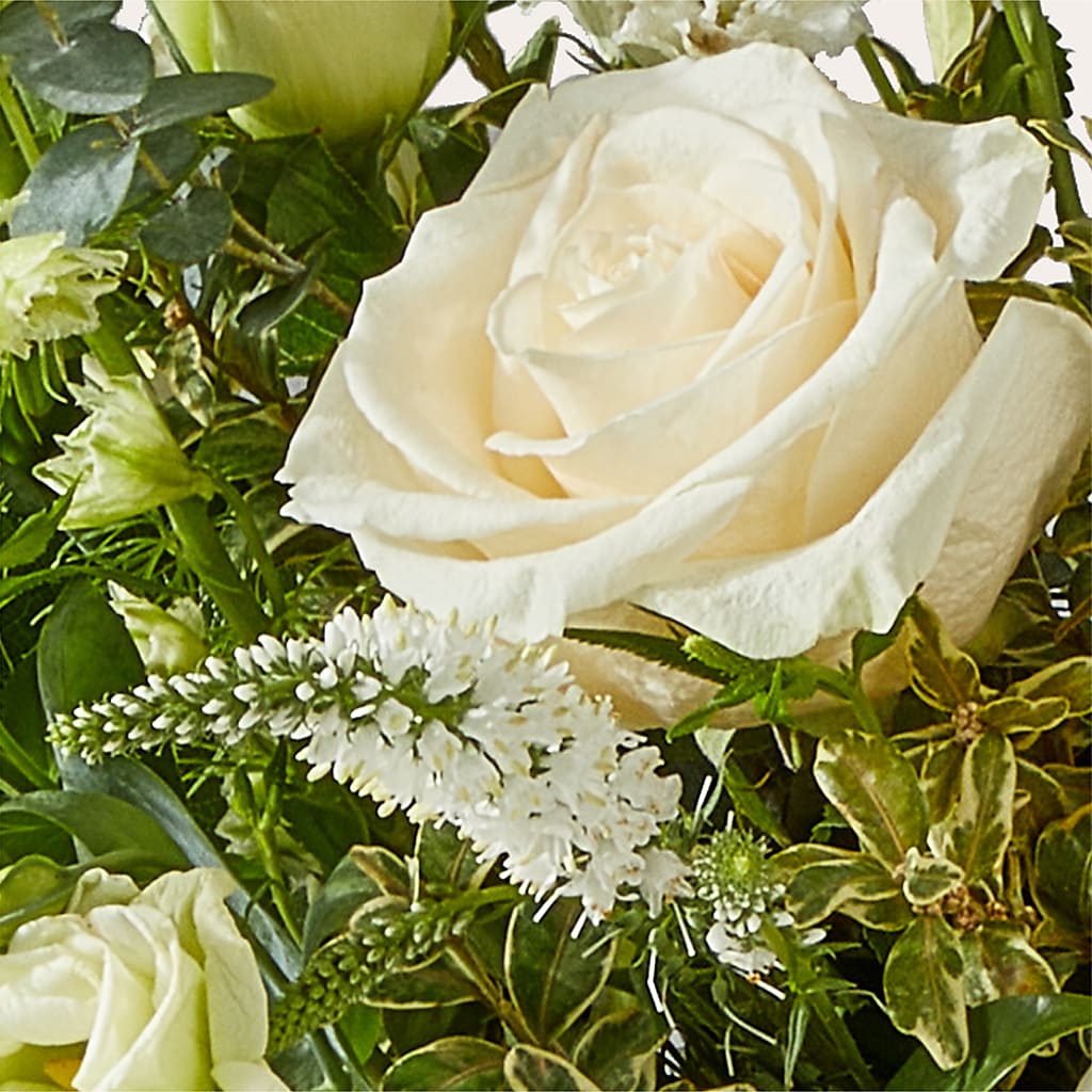 Cashmere Bouquet –  Jy Floristeria, Trenton NJ
