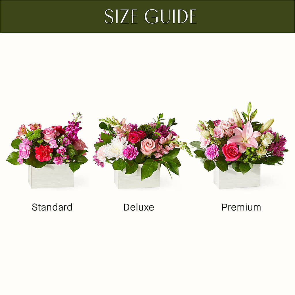 Sweetberry Box – A Florist Original –  Jy Floristeria, Trenton NJ