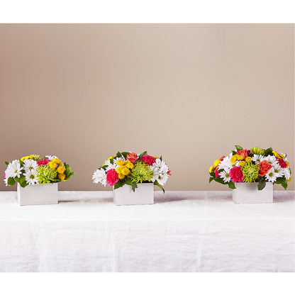 Sorbet Bouquet –  Jy Floristeria, Trenton NJ