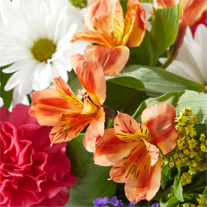 Oopsie Daisy Box Bouquet –  Jy Floristeria, Trenton NJ