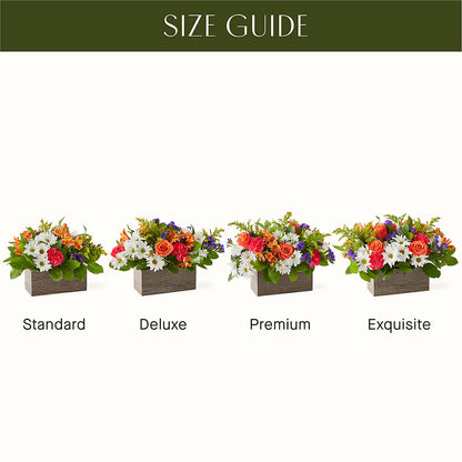 Oopsie Daisy Box Bouquet –  Jy Floristeria, Trenton NJ