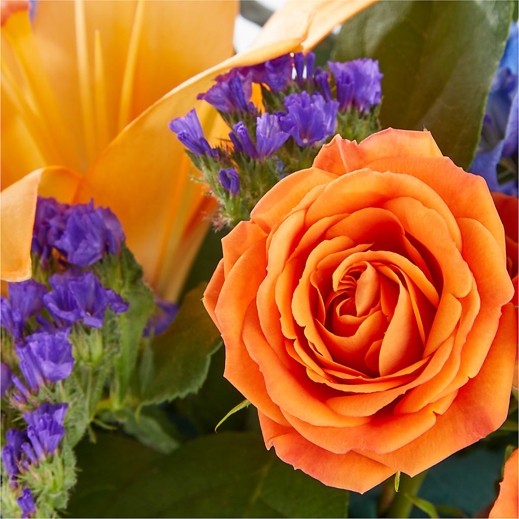 Radiant Citrus Box Bouquet –  Jy Floristeria, Trenton NJ
