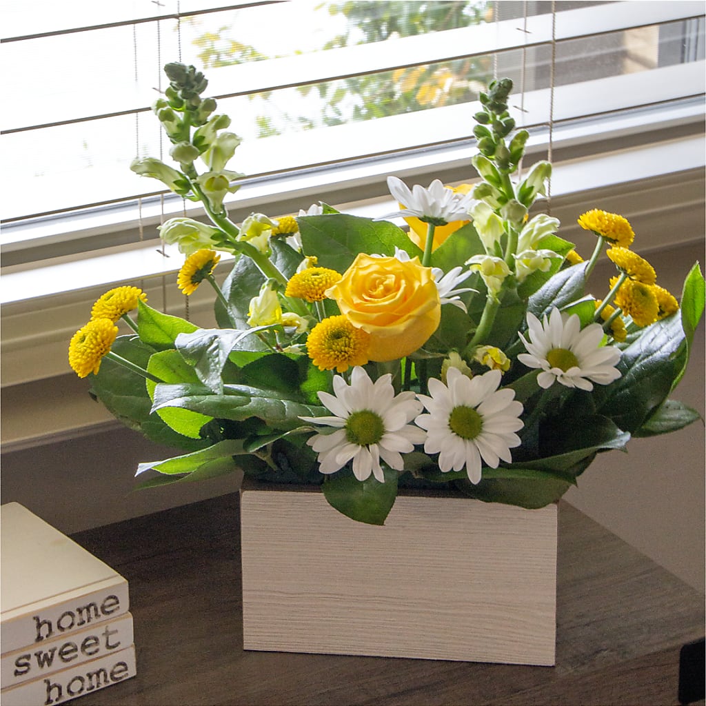 Sun Salutation Box Bouquet –  Jy Floristeria, Trenton NJ