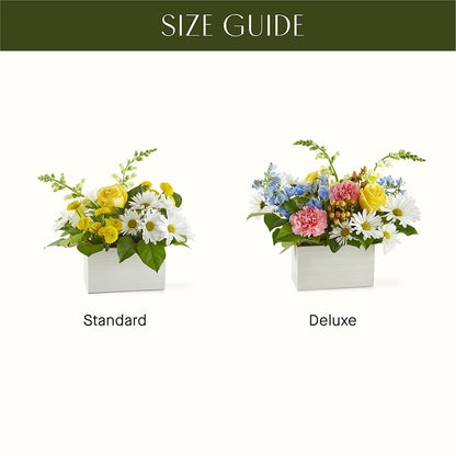 Sun Salutation Box Bouquet –  Jy Floristeria, Trenton NJ
