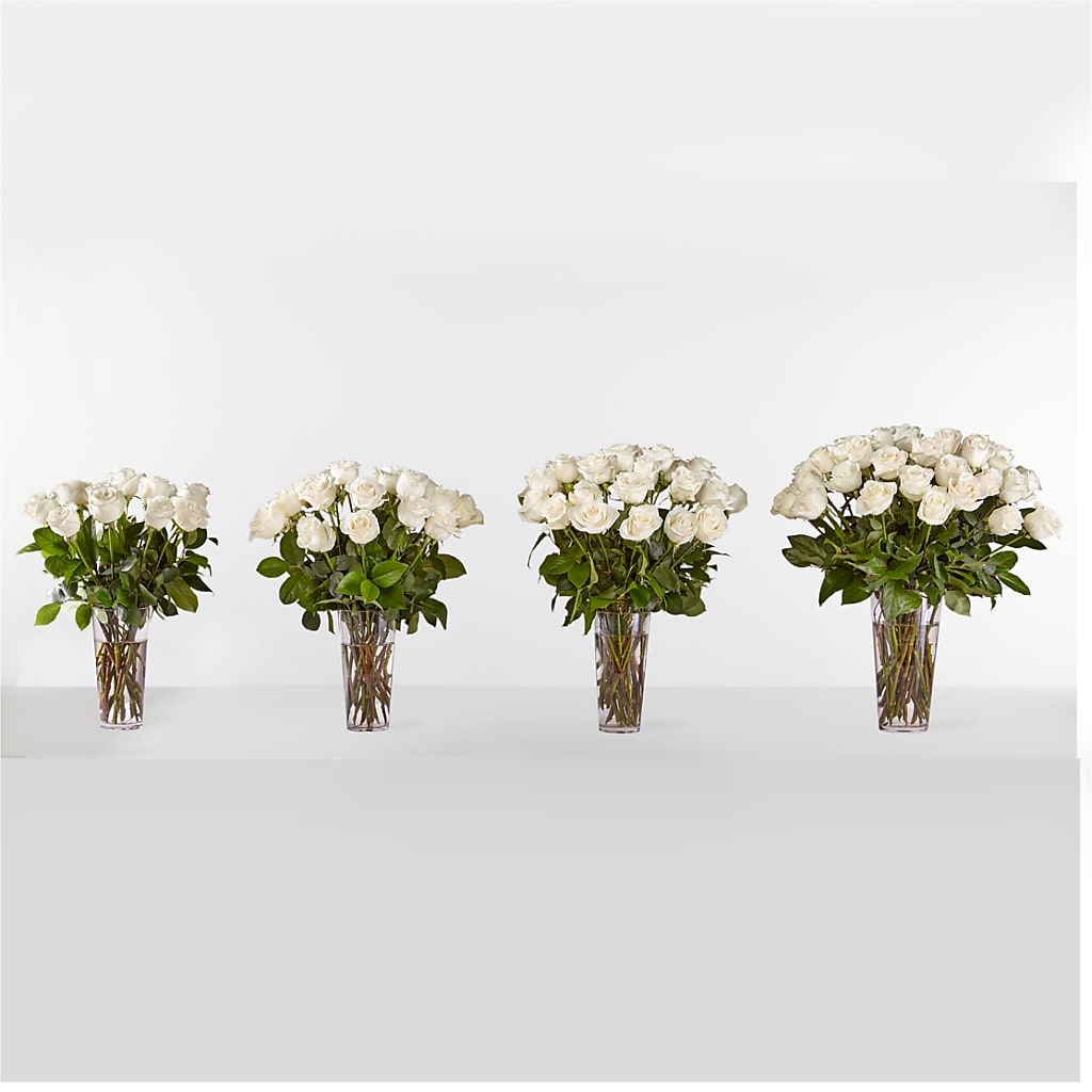 Long Stem White Rose Bouquet –  Jy Floristeria, Trenton NJ