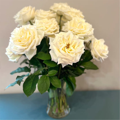 Long Stem Yellow Rose Bouquet –  Jy Floristeria, Trenton NJ