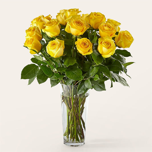 Long Stem Yellow Rose Bouquet –  Jy Floristeria, Trenton NJ