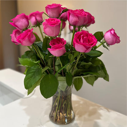 Long Stem Pink Rose Bouquet –  Jy Floristeria, Trenton NJ