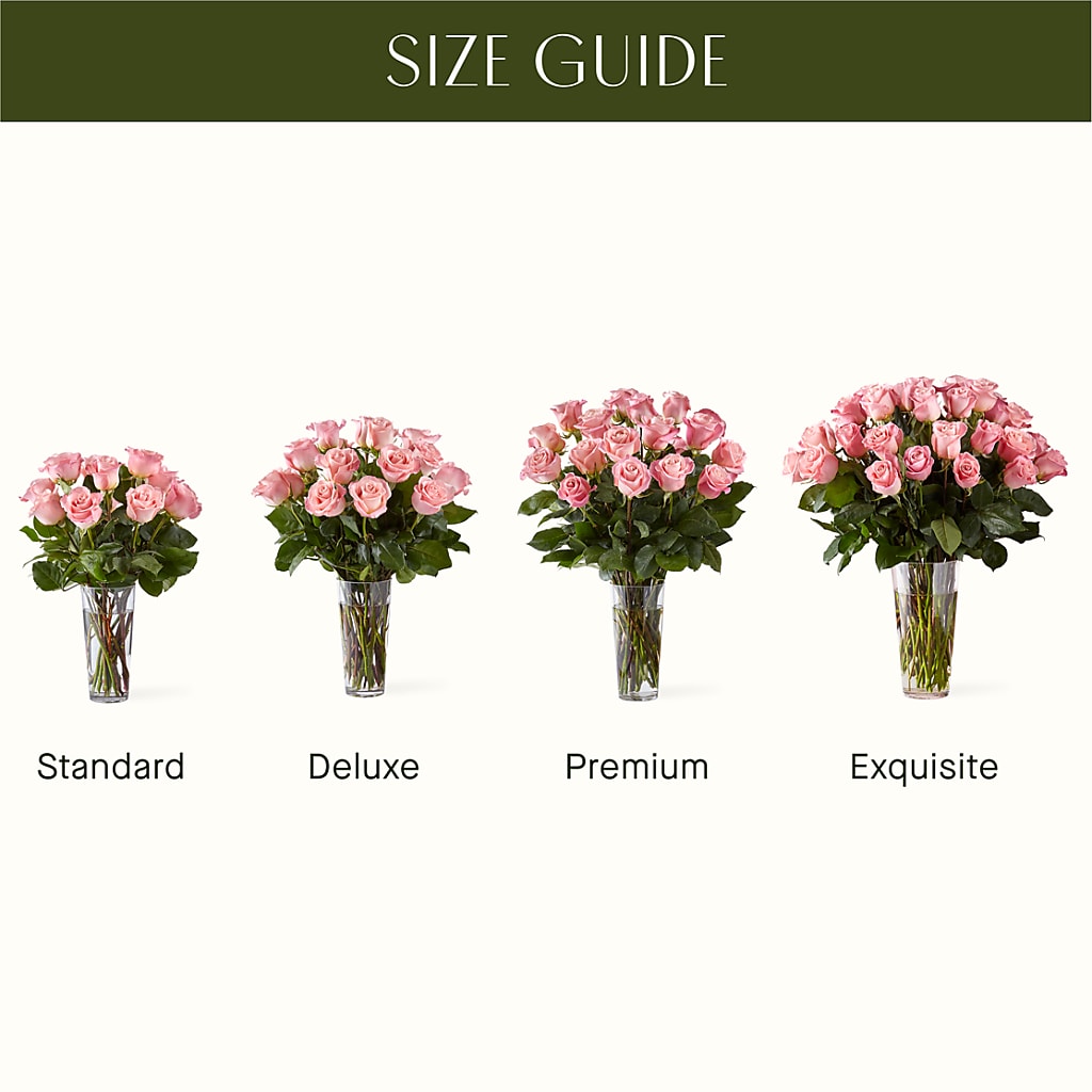 Long Stem Pink Rose Bouquet –  Jy Floristeria, Trenton NJ