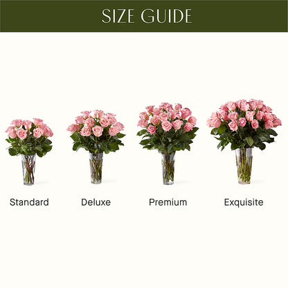 Long Stem Pink Rose Bouquet –  Jy Floristeria, Trenton NJ