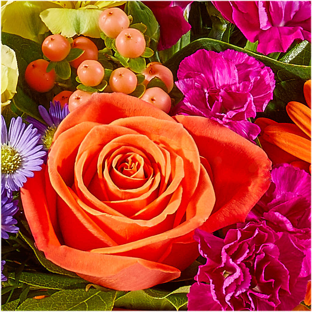 Tricks & Treats Pumpkin –  Jy Floristeria, Trenton NJ