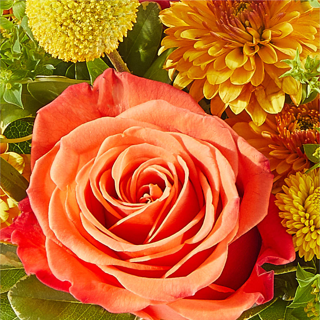Gourdgeous Pumpkin –  Jy Floristeria, Trenton NJ