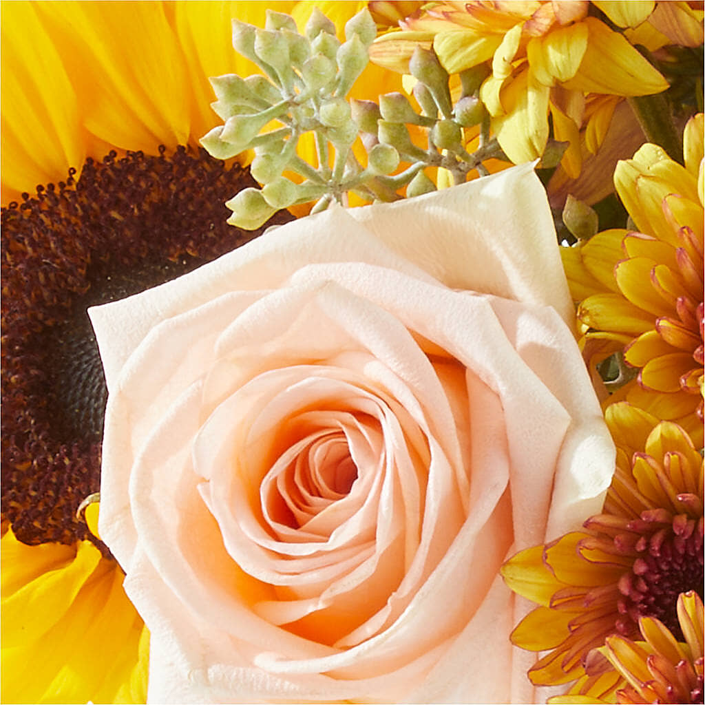 Pumpkin to Talk About Bouquet –  Jy Floristeria, Trenton NJ