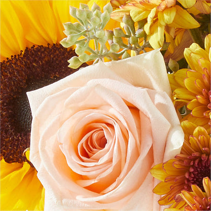 Pumpkin to Talk About Bouquet –  Jy Floristeria, Trenton NJ