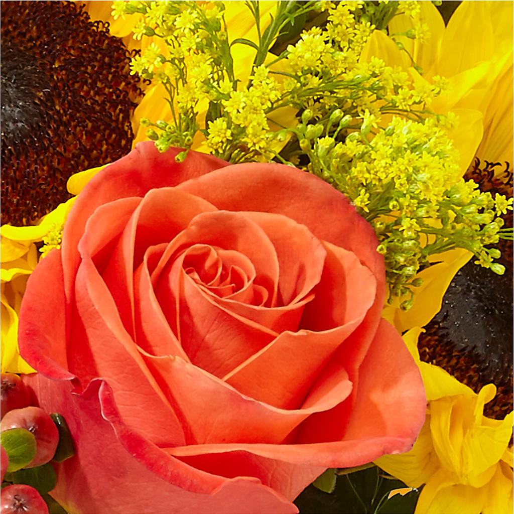 Pick of the Patch Pumpkin Bouquet –  Jy Floristeria, Trenton NJ