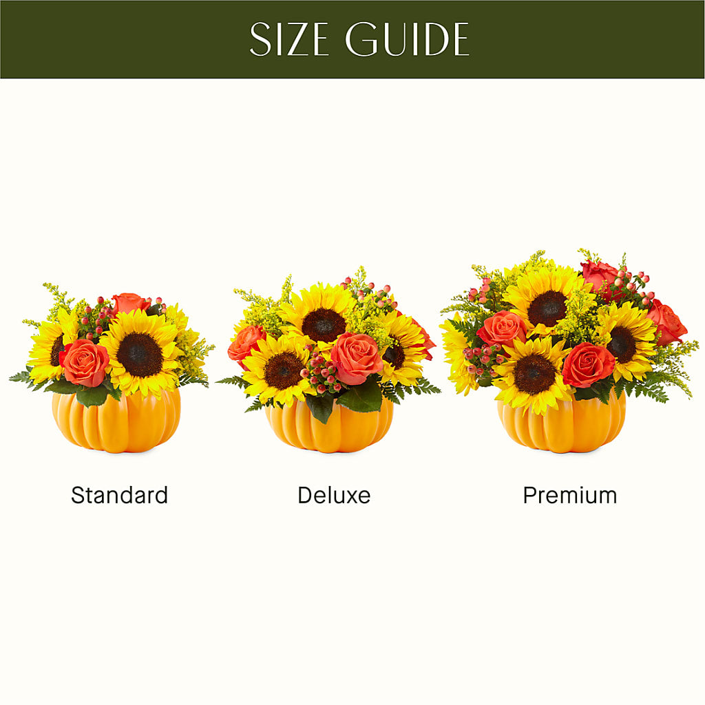 Pick of the Patch Pumpkin Bouquet –  Jy Floristeria, Trenton NJ