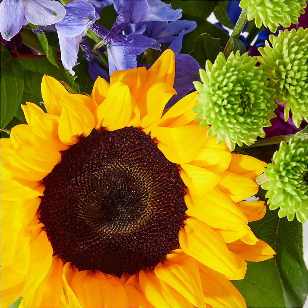 Catching Rays Bouquet –  Jy Floristeria, Trenton NJ