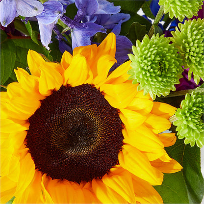 Catching Rays Bouquet –  Jy Floristeria, Trenton NJ