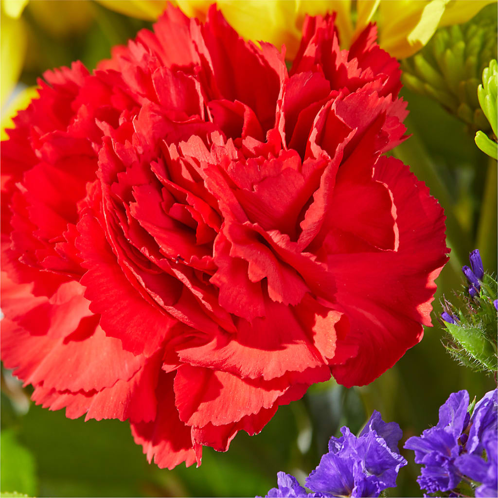 Brighter Days Bouquet –  Jy Floristeria, Trenton NJ